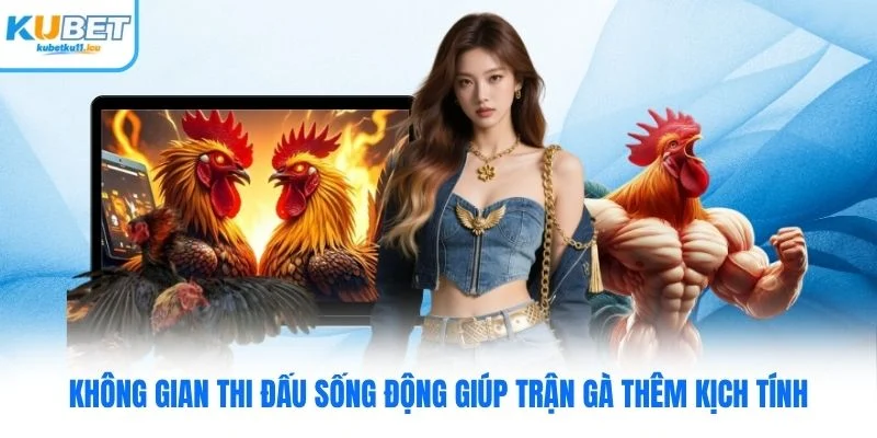 Không gian thi đấu sống động giúp trận gà thêm kịch tính