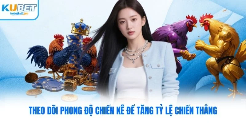 Theo dõi phong độ chiến kê để tăng tỷ lệ chiến thắng